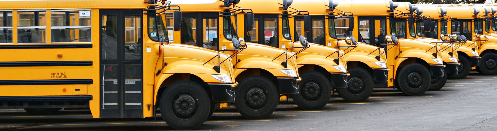 buses